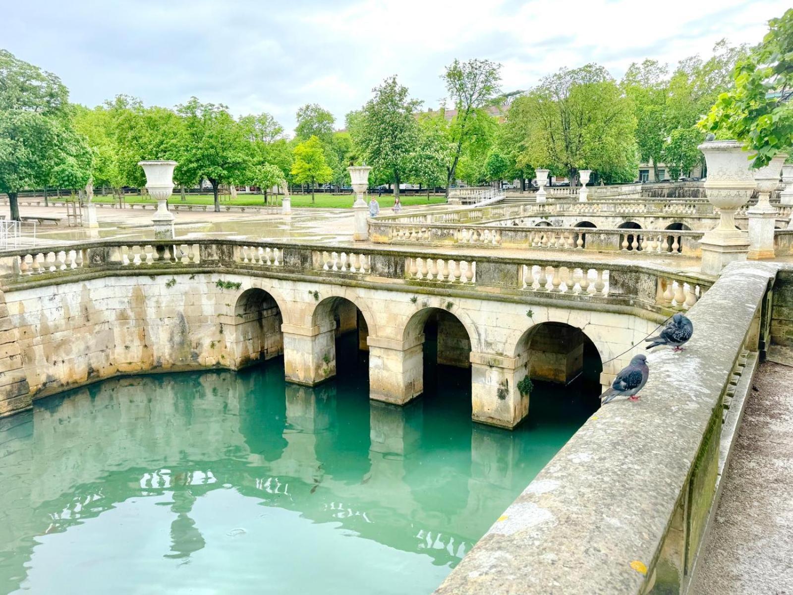 Au Coeur Du Centre Historique - Immeuble Classe - Terrasse - Climatise Nîmes Esterno foto