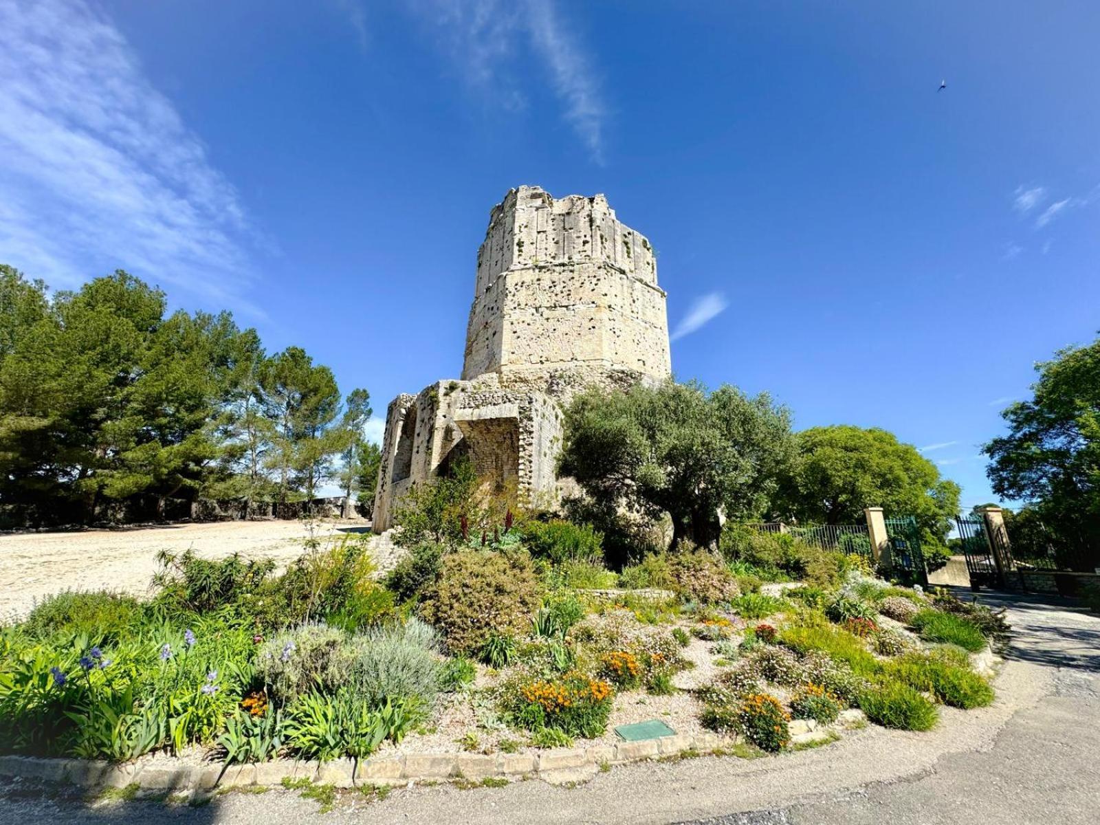 Au Coeur Du Centre Historique - Immeuble Classe - Terrasse - Climatise Nîmes Esterno foto